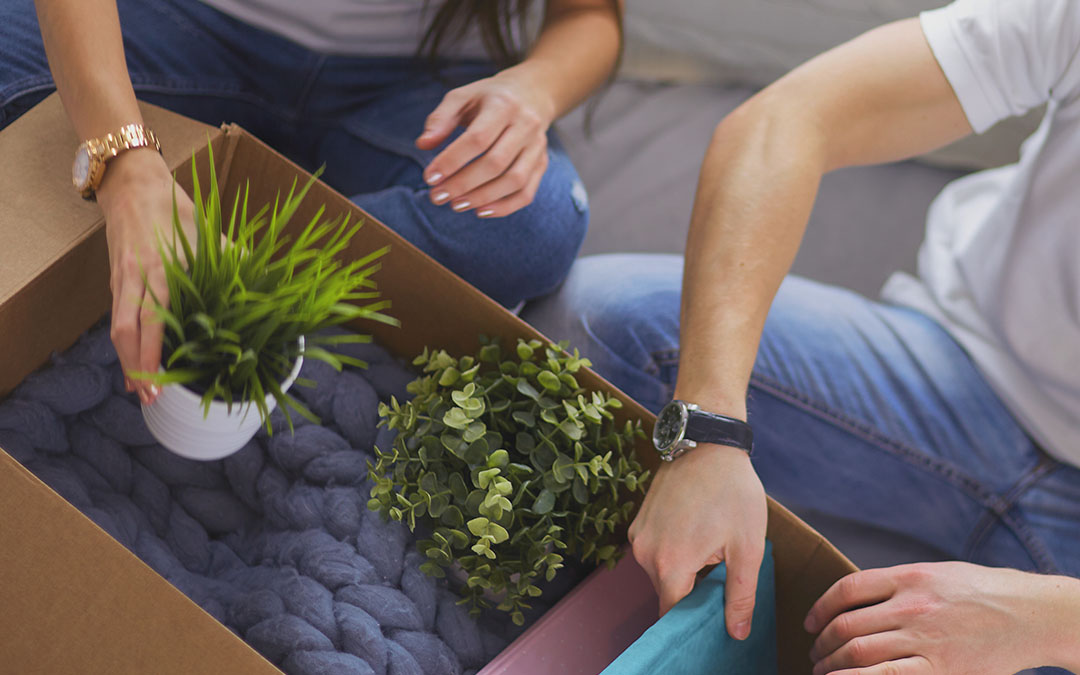 Mudanzas ecológicas